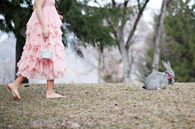 Benvenuta primavera 2016