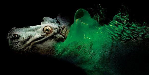 bioparco ZOOM Torino